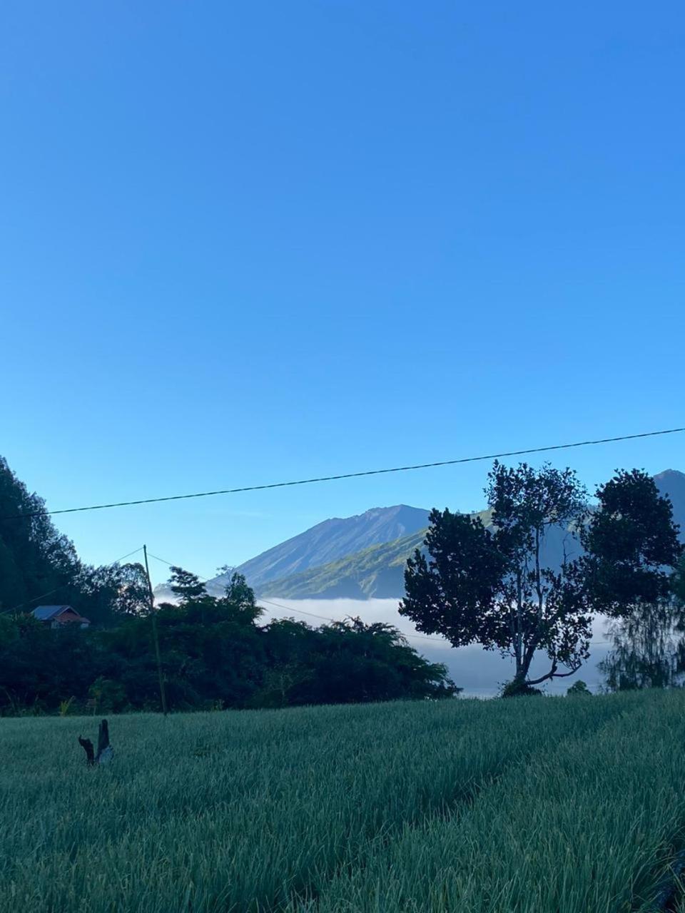 Pondok Bali Volcano Kubupenlokan Luaran gambar